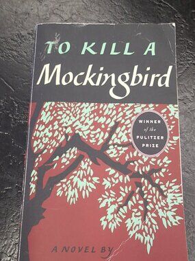 To Kill a Mockingbird Paperback book